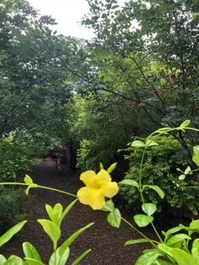 Forest Villa Nature Resort